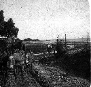 C44f438. Carro de mulas cargando piedras por Ramírez