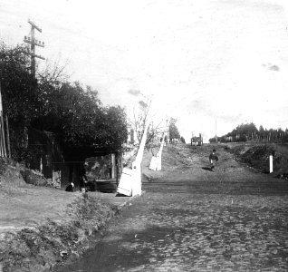 C40f392. Pasarela de madera en la vía