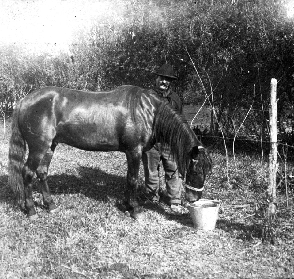 C44f431. Dando agua al caballo