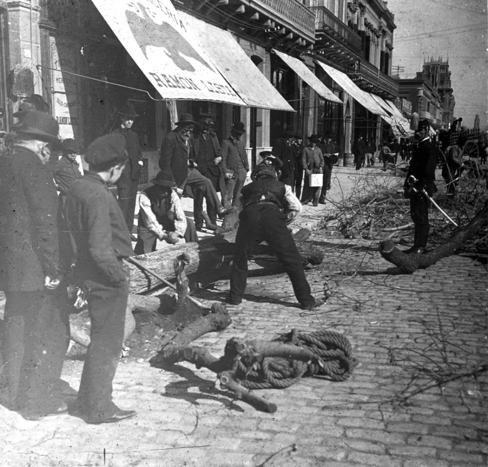 C44f437. Cotrando árboles frente a la tienda Ramón Lista