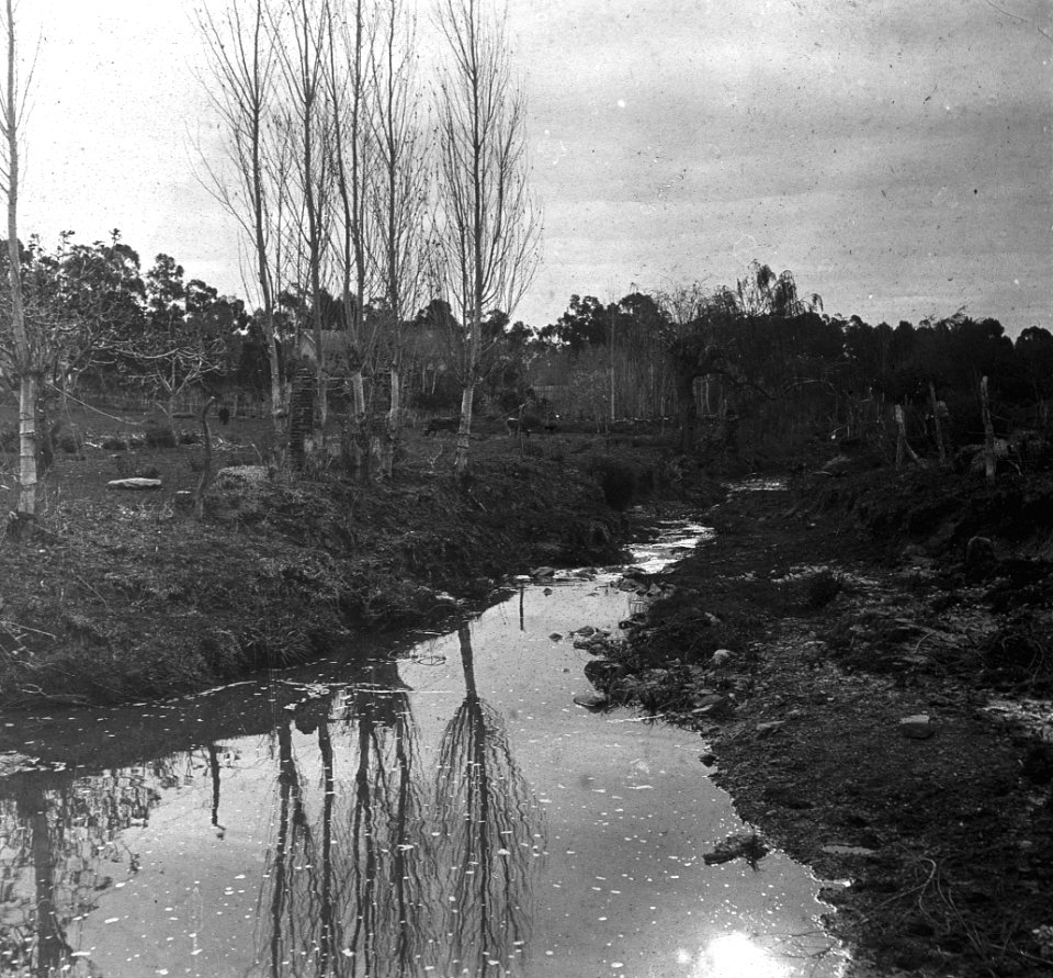 C45f457. Vista de un arroyo
