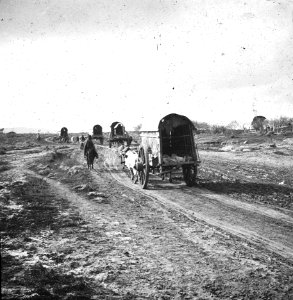 C46f487. Carretas tiradas por bueyes