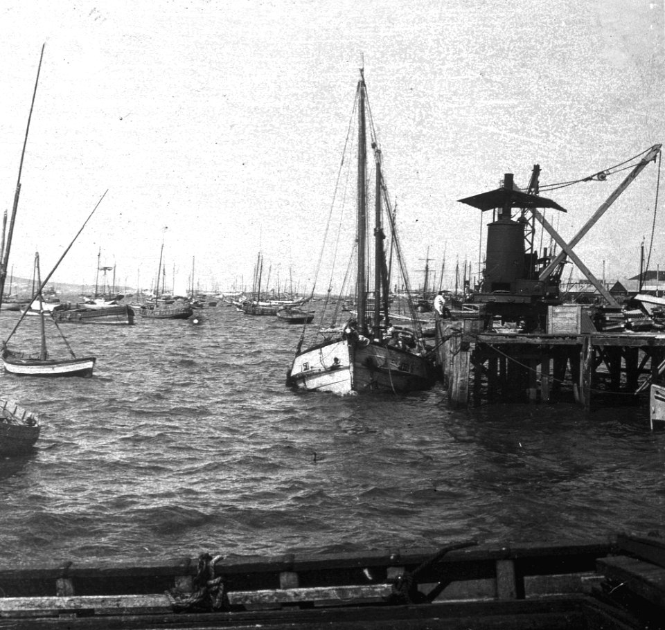 C45f451. Botes a vela en le puerto