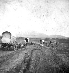 C46f481. Carreta tirada por bueyes