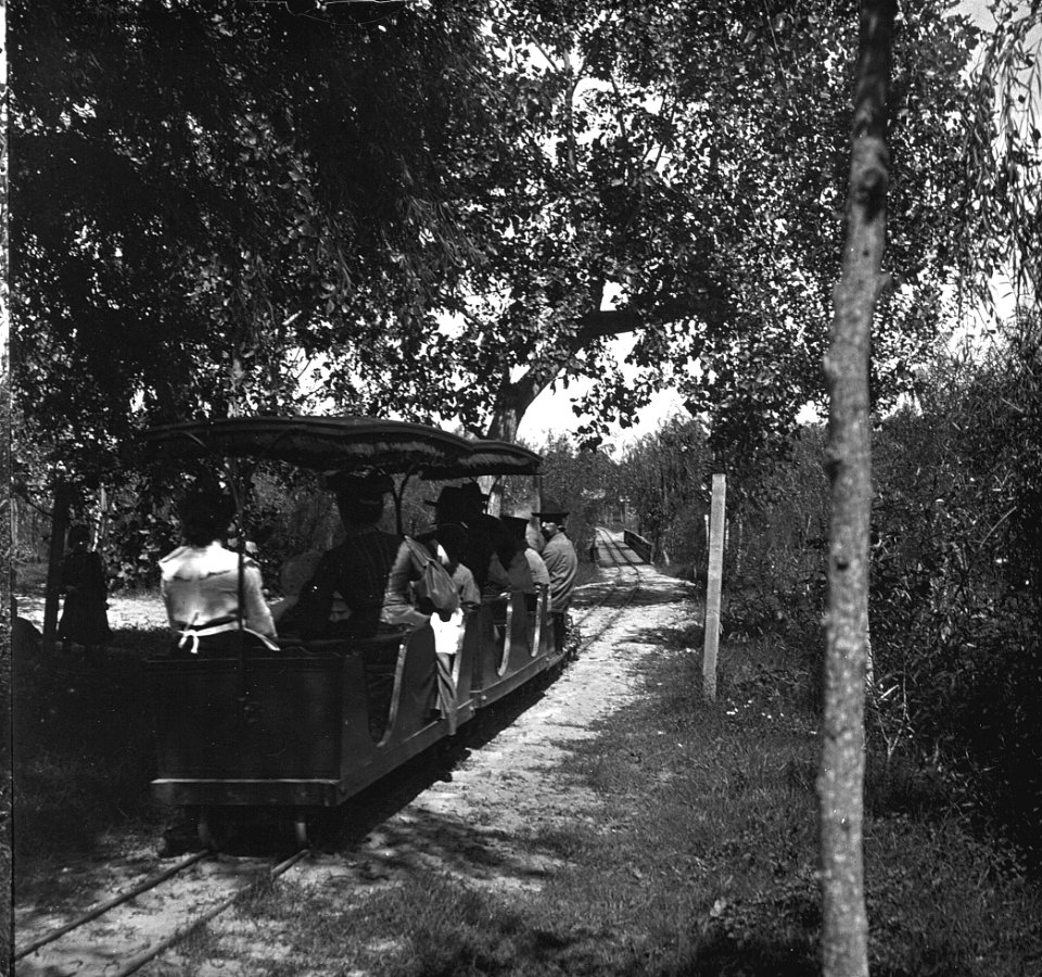 C47f496. Trencito infantil por un camino arbolado