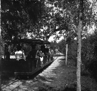 C47f496. Trencito infantil por un camino arbolado