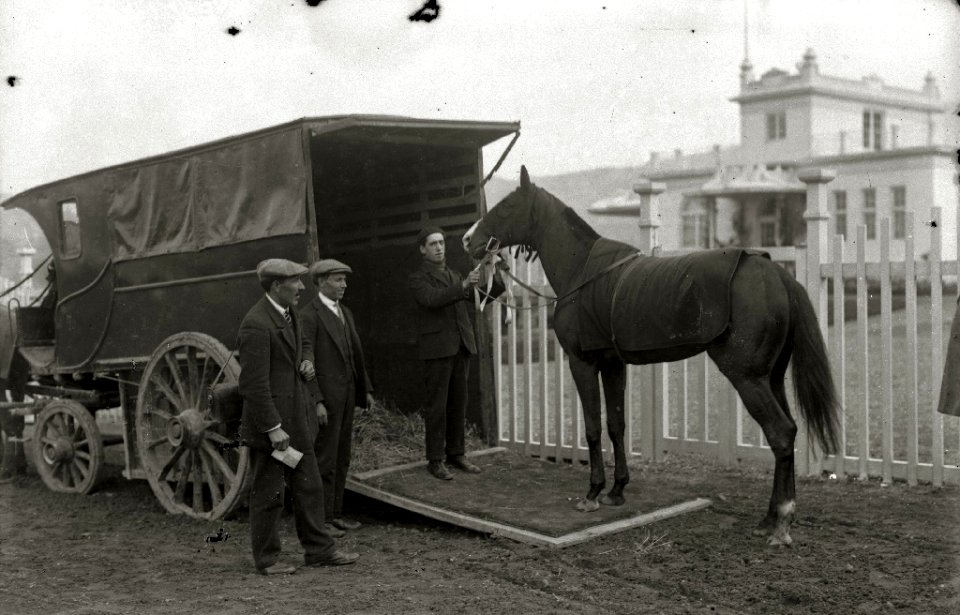 Caballo de carreras junto a una camioneta para transportarlo (1 de 1) - Fondo Car-Kutxa Fototeka