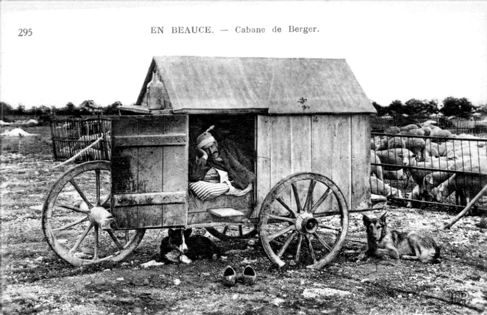 Cabane de berger beauceron