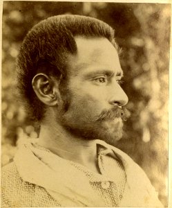 Cabinet card; portrait of a man in profile with a moustache, wearing a shirt and a piece of cloth draped around his neck; Polynesia. Albumen print. Oc,B43.16, British Museum