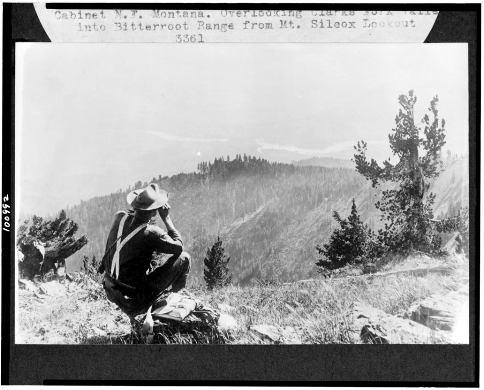 Cabinet National Forest, Montana. Overlooking Clarks Fork Valley into Bitterroot Range from Mt. Silcox Lookout LCCN90715923
