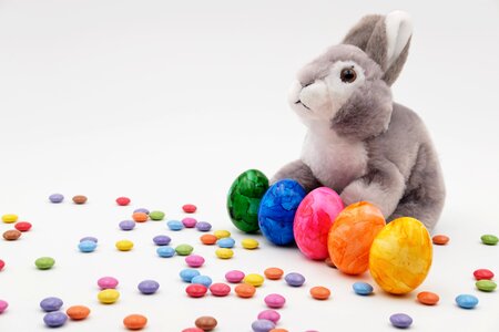 Easter easter theme egg