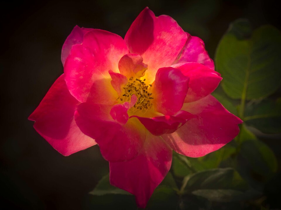 Backlight close macro