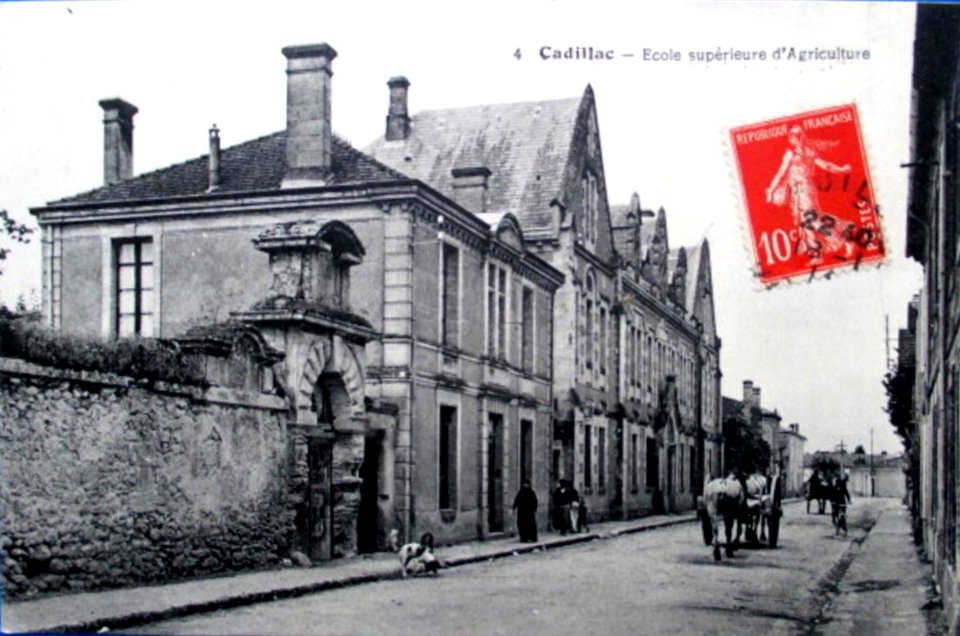 Cadillac-sur-Garonne - Ecole d'Agriculture 2