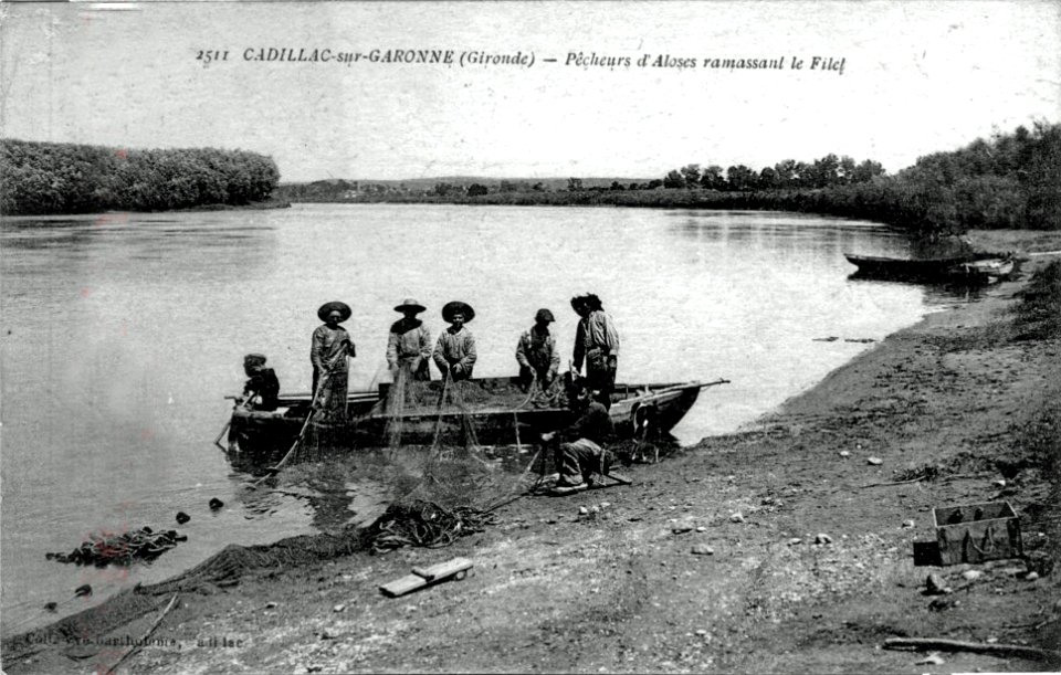 Cadillac - Bords de la Garonne - pêche à l'alose 2