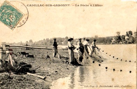 Cadillac - Bords de la Garonne - pêche à l'alose 1
