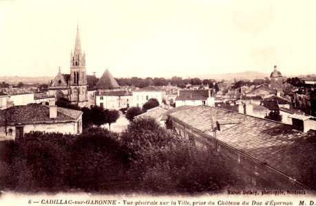 Cadillac-sur-Garonne - vue générale 2