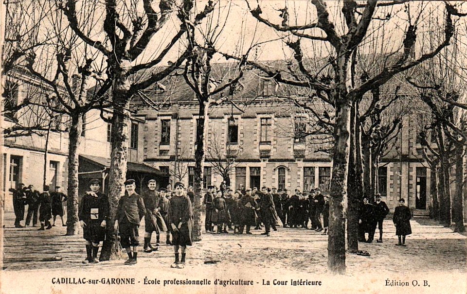 Cadillac-sur-Garonne - Ecole d'Agriculture 5