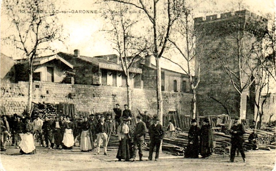 Cadillac-sur-Garonne - Marché