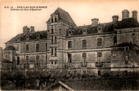 Cadillac-sur-Garonne - Château d'Epernon 2