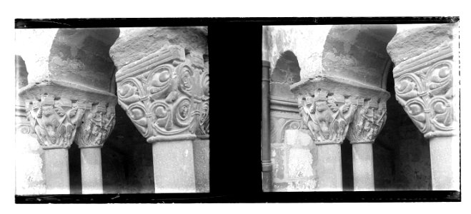 Capitells del claustre de Santa Maria de l'Estany (Vdr-25 100)