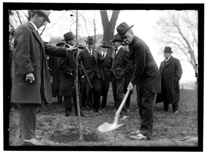 CAPITOL, U.S. TREE PLANTING- SAULSBURY WITH SHOVEL; JIM PRESTON LEFT OF HIM; E. A. HALSEY, 2ND TO LEFT LCCN2016869036