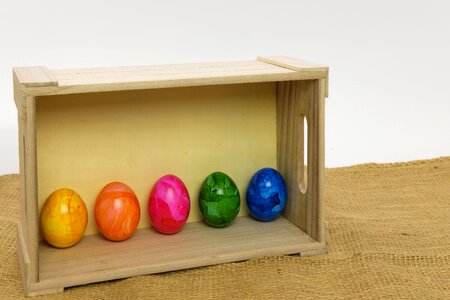 Egg colorful eggs box