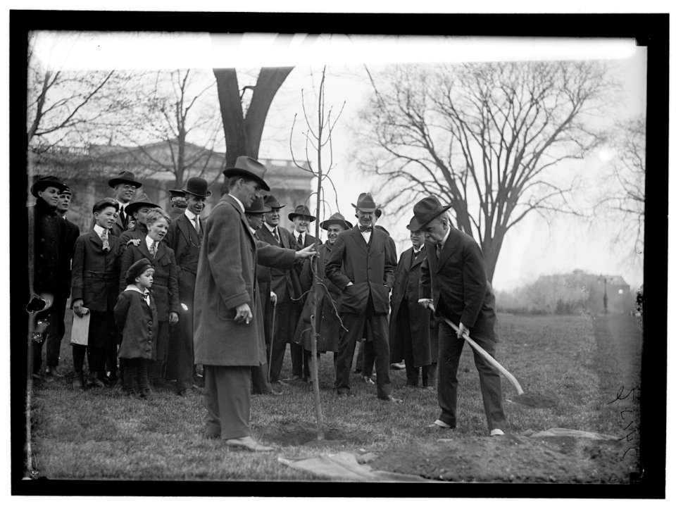 CAPITOL, U.S. TREE PLANTING- SAULSBURY WITH SHOVEL; JIM PRESTON LEFT OF HIM; E. A. HALSEY, 2ND TO LEFT LCCN2016869035