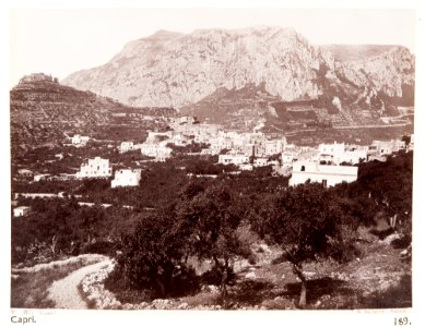 Capri - Hallwylska museet - 107455