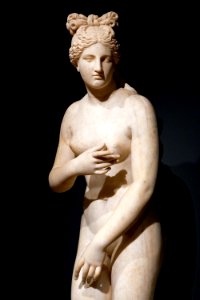 Capitoline Venus Louvre Ma336 n8