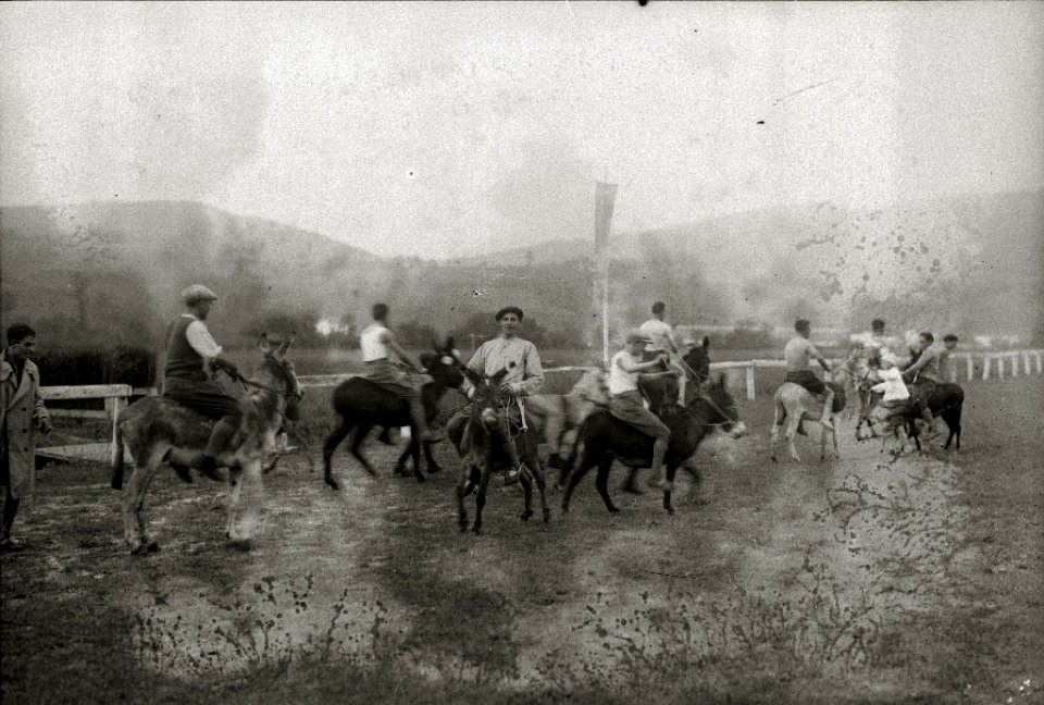 Carrera de borricos en el hipódromo de Lasarte (1 de 1) - Fondo Car-Kutxa Fototeka