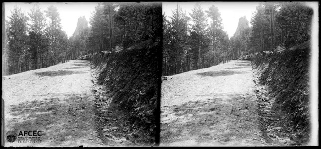 Carretera de Queralt en un vessant boscós prop de Berga i al fons un cim rocós