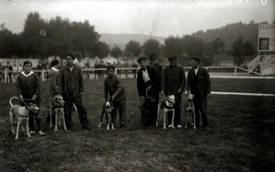 Carrera de galgos en el canódromo de Amara (2 de 3) - Fondo Car-Kutxa Fototeka