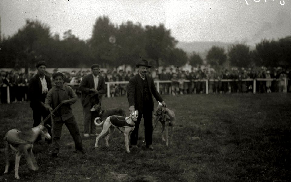 Carrera de galgos en el canódromo de Amara (3 de 3) - Fondo Car-Kutxa Fototeka