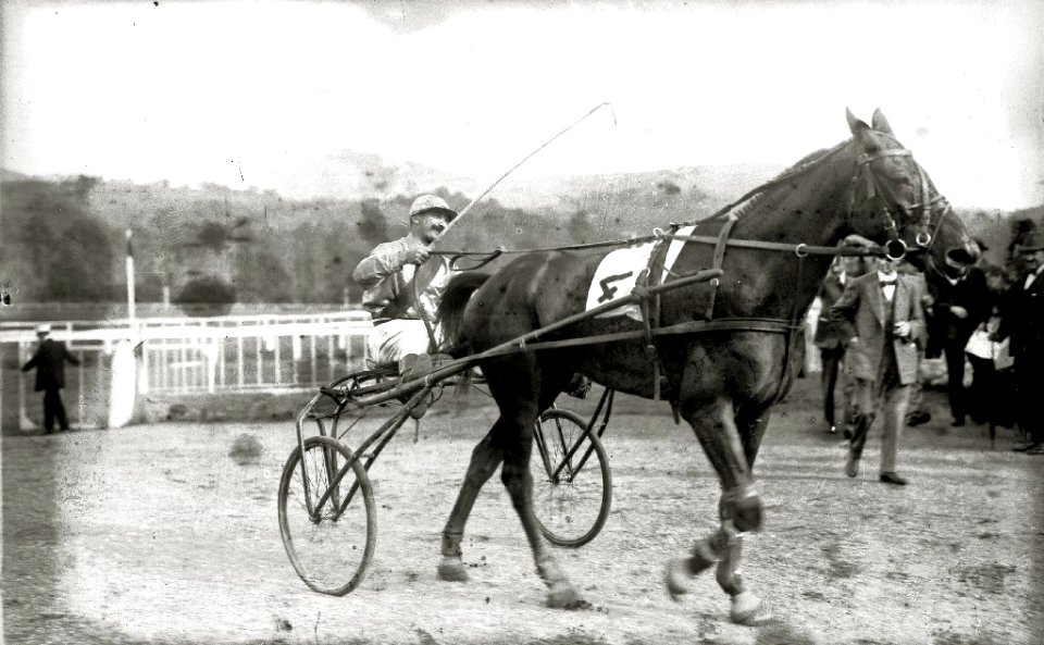 Carreras de trotones y de caballos en el hipódromo de Lasarte (1 de 2) - Fondo Car-Kutxa Fototeka