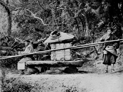 Carriage of Merchandise