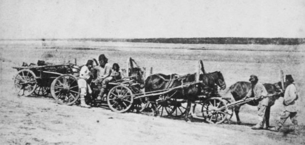 Carrick, William - Bauern auf dem Weg zum Markt von Kamenka (Zeno Fotografie)