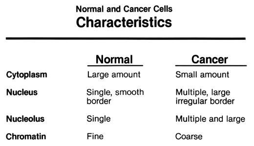 Cell characteristics