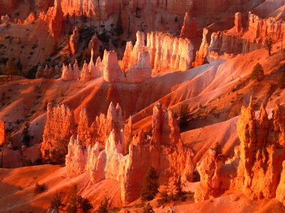 Landscape red rock southwest