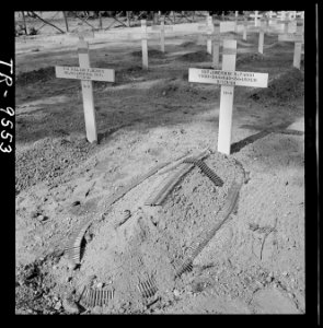 Cemetery for American dead at Bougainville - NARA - 520985