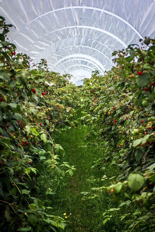 Cultivation bio nature