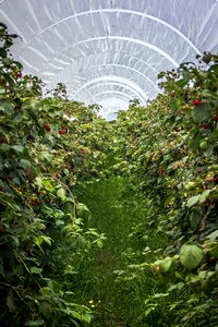 Cultivation bio nature
