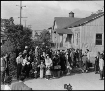Centerville, California. Farm families of Japanese ancestry await the evacuation buses which will t . . . - NARA - 537577 photo