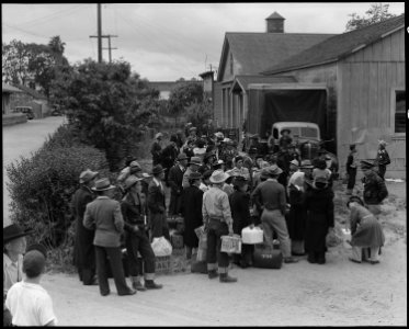 Centerville, California. Members of farm families await evacuation bus. Farmers and other evacuees . . . - NARA - 537575 photo