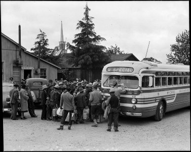 Centerville, California. the bus has just arrived and these farm families of Japanese ancestry are . . . - NARA - 537586