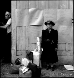 Centerville, California. This evacuee stands by her baggage as she waits for evacuation bus. Evacu . . . - NARA - 537588 photo