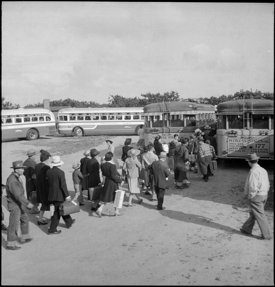 Centerville, California. Members of farm family board evacuation buses. Evacuees of Japanese ances . . . - NARA - 537585