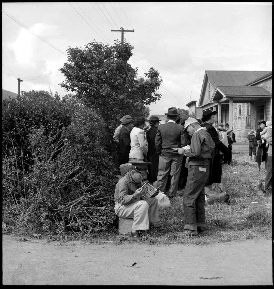 Centerville, California. These school boys read the funnies while awaiting evacuation bus. Evacu . . . - NARA - 537554