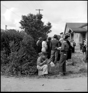 Centerville, California. These school boys read the funnies while awaiting evacuation bus. Evacu . . . - NARA - 537554