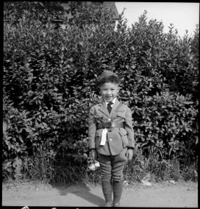 Centerville, California. This youngster is being evacuated with a group of 595 persons of Japanese . . . - NARA - 537558