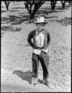 Centerville, California. One of 7 children in the Hamachi family pictured on the Himachi farm in Al . . . - NARA - 537546
